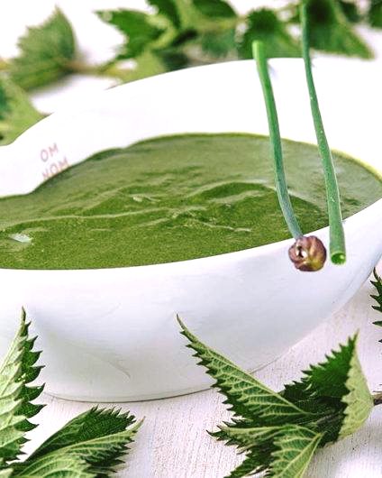 🥣 Nov pomladni navdih: Divja juha iz kopriv 🌱

Koprivna juha je preprosta za pripravo, aromatična in polna divje svežine, ki jo spomladi najdemo v naravi. Z dodatkom krompirja, česna in začimb ustvari zdravo, hranljivo jed na žlico, ki lepo pogreje in hkrati osveži. Med ledenimi možmi, ki letos spet ne popuščajo, potrebujemo nekaj bolj grelnega, a ne? ⛈️

🌿 Kopriva velja za eno najbolj cenjenih divjih rastlin pri nas. Mladi spomladanski vršički so bogati z minerali in imajo značilen, rahlo zemeljski okus, ki se odlično poda v juhe, omlete, pesto ali priloge.

👩‍🍳 Namig: Koprive lahko po želji kombinirate tudi z drugimi divjimi rastlinami, kot sta regačica ali navadna zvezdica, in tako pričarate še bolj raznolik spomladanski okus.

👇 Celoten #recept vas čaka tukaj:
🔗 https://izibizi.si/divja-juha-iz-kopriv/

✨ Za več sezonskih idej pokukajte na blog IZIBIZI – povezava je v BIO!

Dober tek! 😋
✍️ Nina / IZIBIZI @izibizi.si
📸 @skerjanec_matjaz
🥣 @omnom_notadiet
.
.
.
#izibizisi #homecooking #wildherbs #nettlesoup #foraging #springrecipes #comfortfood #seasonalcooking #homemade #healthyrecipes